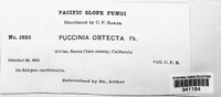 Puccinia obtecta image